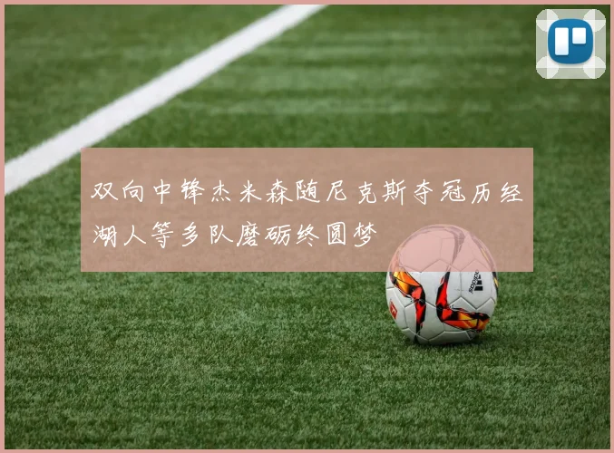 双向中锋杰米森随尼克斯夺冠历经湖人等多队磨砺终圆梦