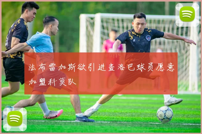 法布雷加斯欲引进查洛巴球员愿意加盟科莫队